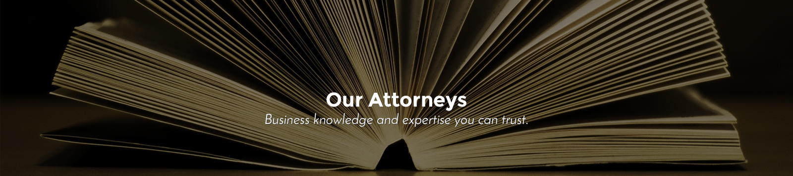 Our Business Attorneys 1